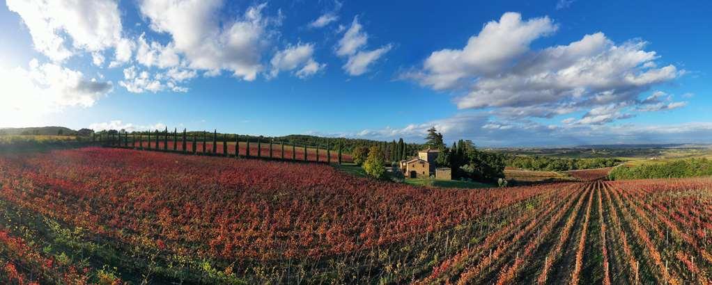 Relais Villa Grazianella | Una Esperienze Acquaviva  Zimmer foto