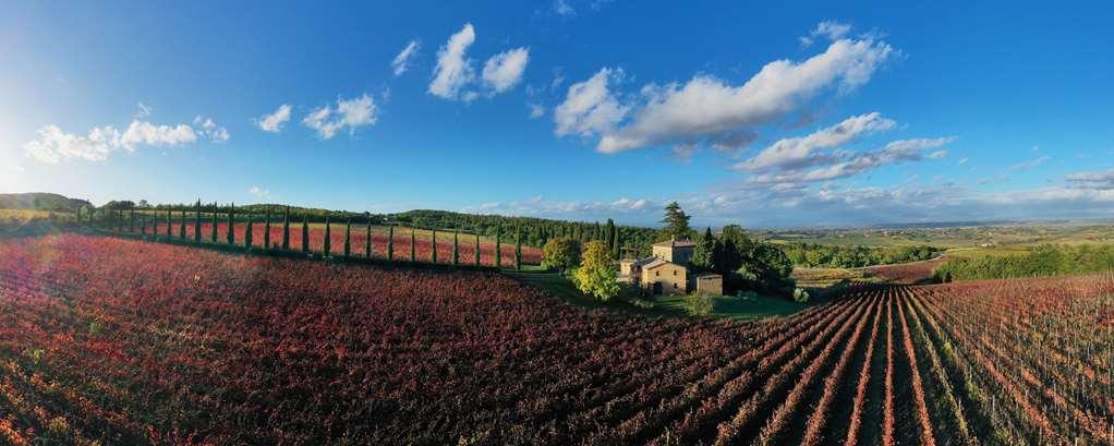 Relais Villa Grazianella | Una Esperienze Acquaviva  Zimmer foto