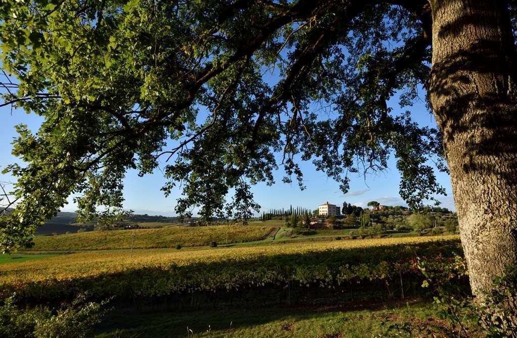 Relais Villa Grazianella | Una Esperienze Acquaviva  Zimmer foto